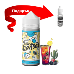 5 Senses Mixed Berry Lemonade Cactus 30ml for 120ml