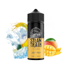 Ghost Train 30ml for 120ml Flavour Shot