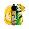 Banana 50ml for 60ml Fruits by Luscious